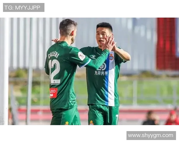 冰岛与加纳角球对决分析及比赛精彩瞬间回顾